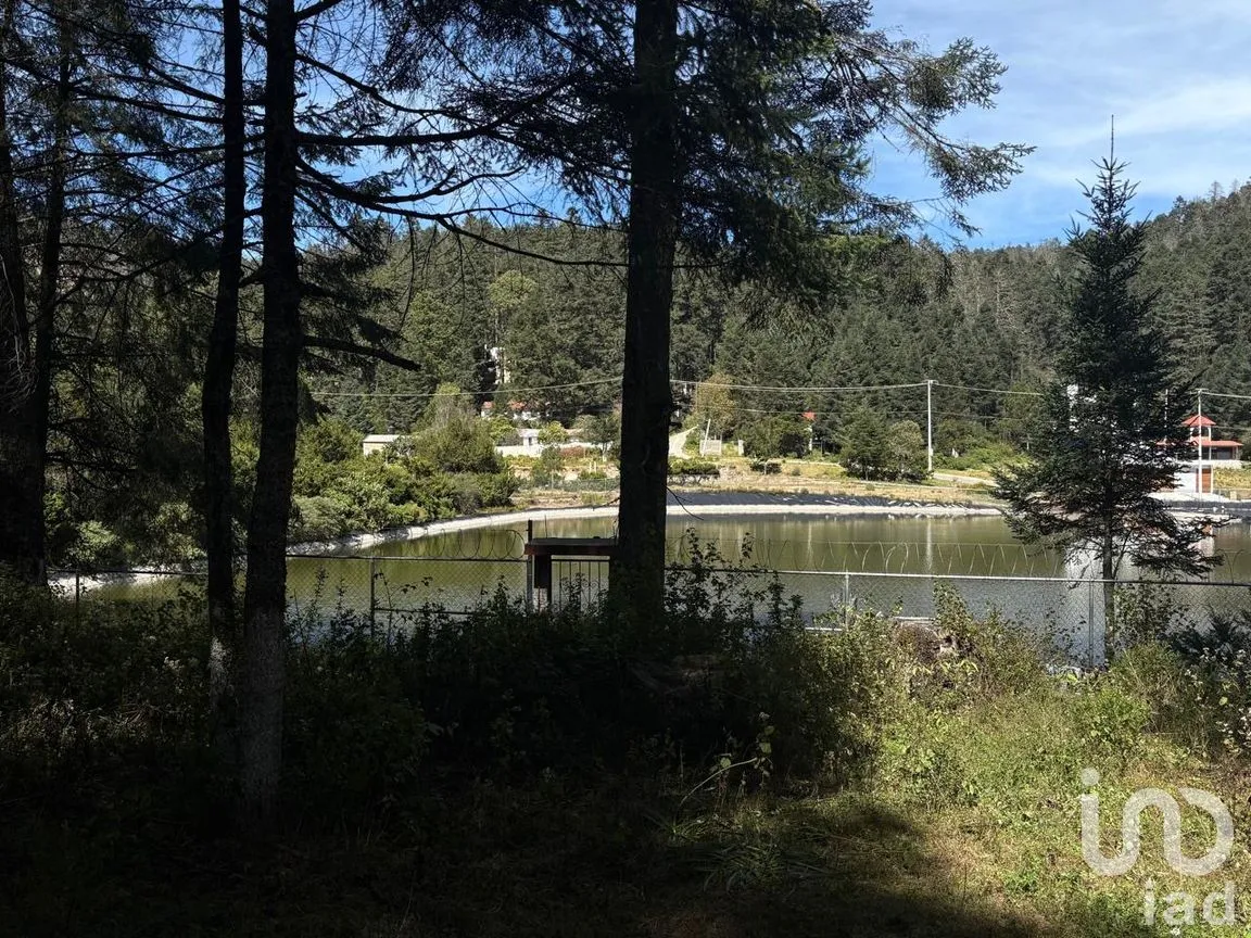 Terreno en Venta en Bosques de San Cayetano, Mineral del Monte, Hidalgo | NEX-290131 | iad México | Foto 5 de 10
