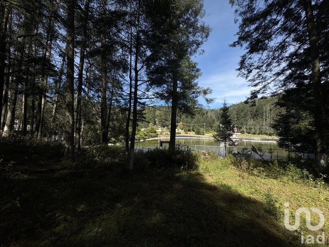 Terreno en Venta en Bosques de San Cayetano, Mineral del Monte, Hidalgo | NEX-290131 | iad México | Foto 8 de 10