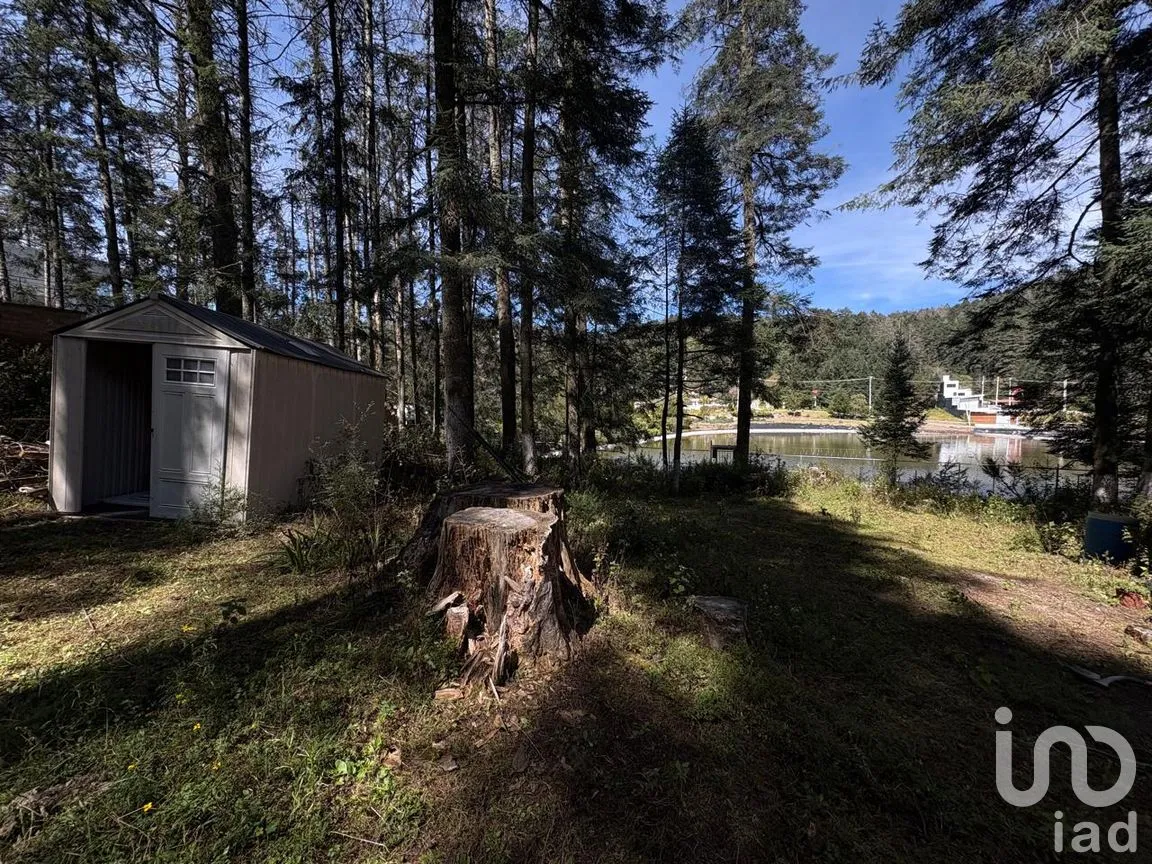Terreno en Venta en Bosques de San Cayetano, Mineral del Monte, Hidalgo | NEX-290131 | iad México | Foto 9 de 10