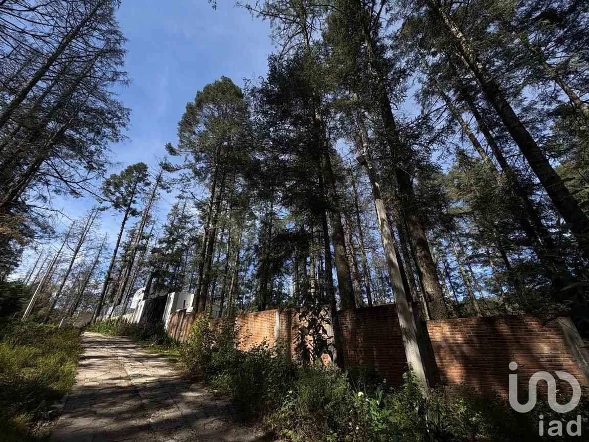 Terreno en Venta en Bosques de San Cayetano, Mineral del Monte, Hidalgo | NEX-290131 | iad México | Foto 1 de 10