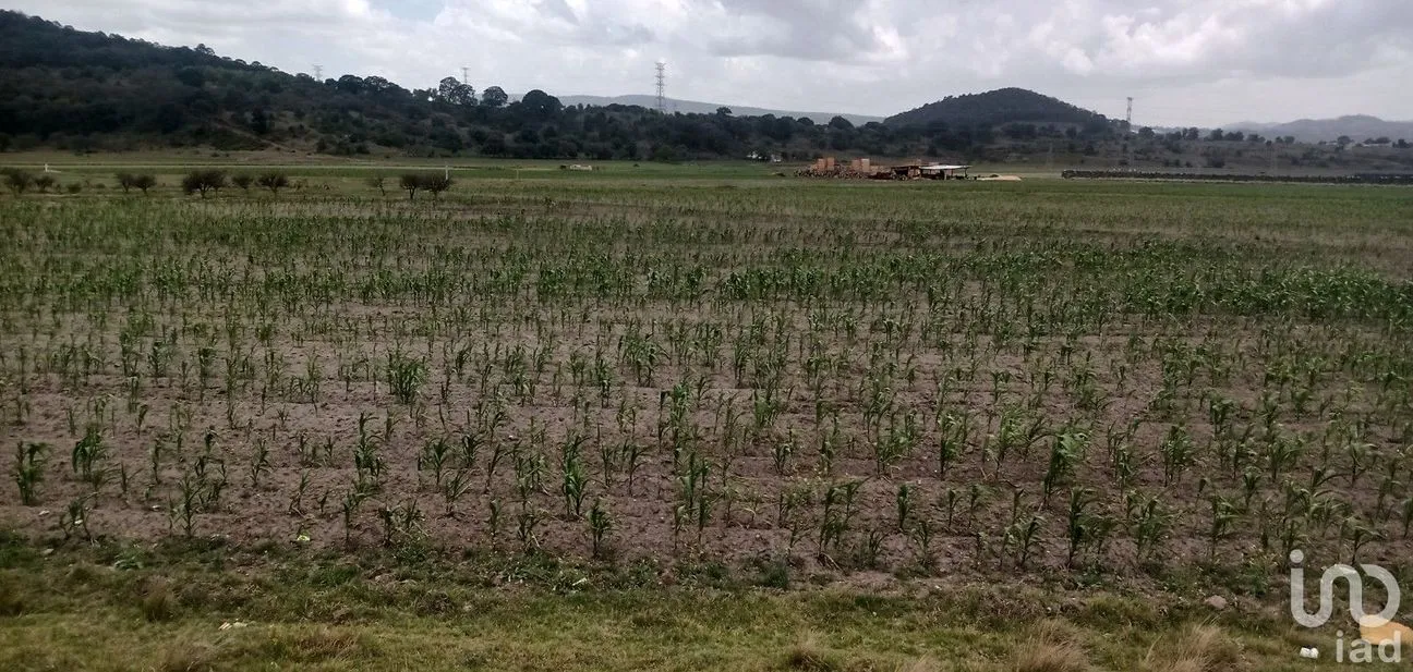 Terreno en Venta en Las Palomas, Epazoyucan, Hidalgo | NEX-32927 | iad México | Foto 4 de 5