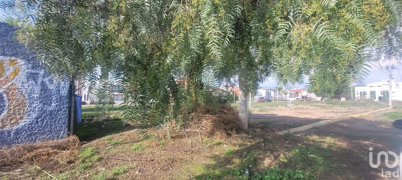 Terreno en Venta en Real del Valle, Pachuca de Soto, Hidalgo | NEX-42314 | iad México | Foto 10 de 15