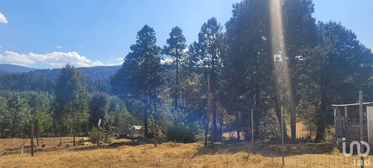 Terreno en Venta en Tres Cañadas, Omitlán de Juárez, Hidalgo | NEX-47432 | iad México | Foto 11 de 24