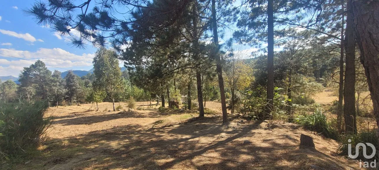 Terreno en Venta en Tres Cañadas, Omitlán de Juárez, Hidalgo | NEX-47432 | iad México | Foto 21 de 24