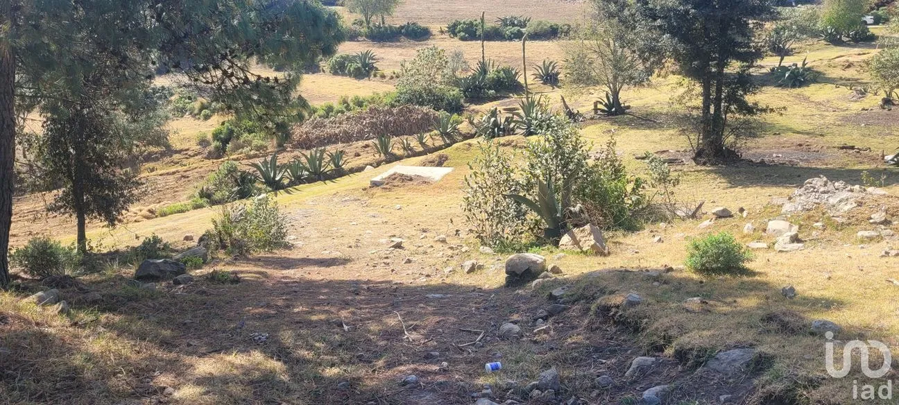 Terreno en Venta en Tres Cañadas, Omitlán de Juárez, Hidalgo | NEX-47432 | iad México | Foto 20 de 24