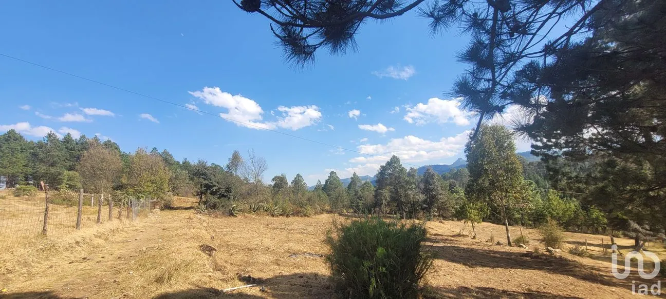 Terreno en Venta en Tres Cañadas, Omitlán de Juárez, Hidalgo | NEX-47432 | iad México | Foto 23 de 24