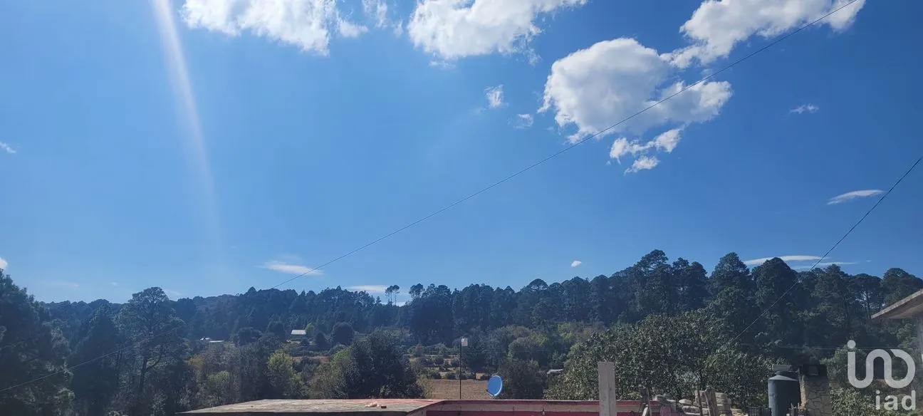 Terreno en Venta en Tres Cañadas, Omitlán de Juárez, Hidalgo | NEX-47432 | iad México | Foto 17 de 24