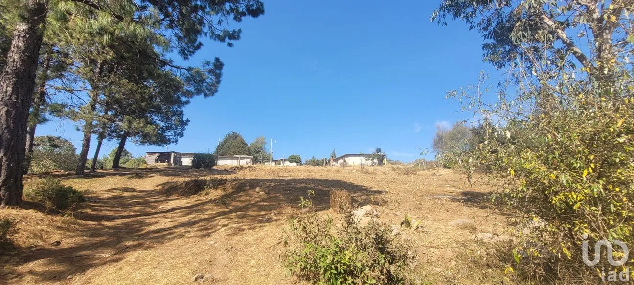 Terreno en Venta en Tres Cañadas, Omitlán de Juárez, Hidalgo | NEX-47432 | iad México | Foto 9 de 24