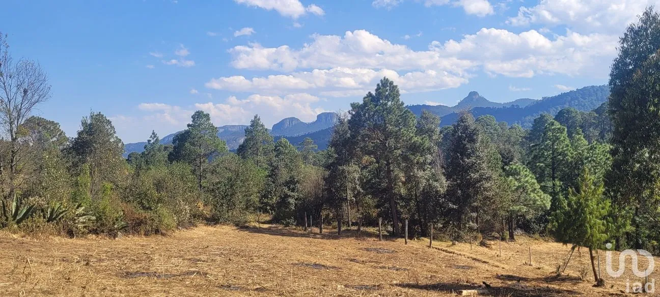 Terreno en Venta en Tres Cañadas, Omitlán de Juárez, Hidalgo | NEX-47432 | iad México | Foto 10 de 24