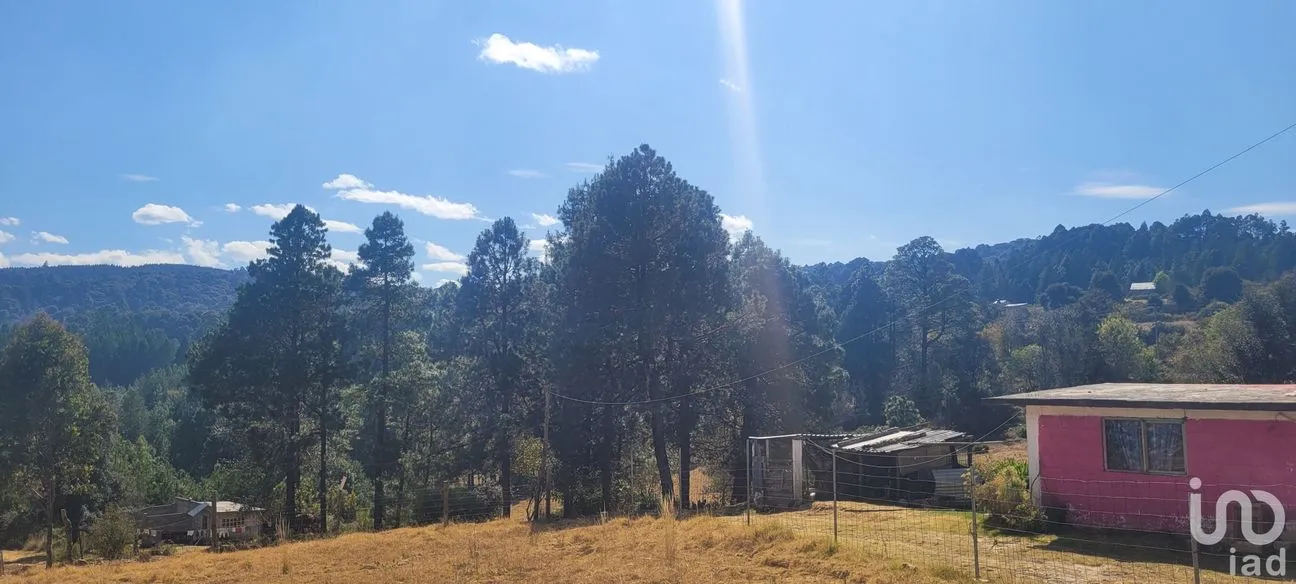 Terreno en Venta en Tres Cañadas, Omitlán de Juárez, Hidalgo | NEX-47432 | iad México | Foto 12 de 24