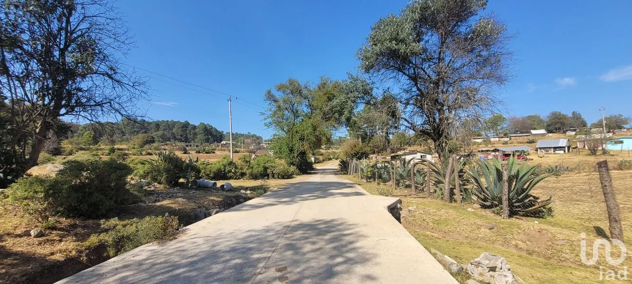 Terreno en Venta en Tres Cañadas, Omitlán de Juárez, Hidalgo | NEX-47432 | iad México | Foto 4 de 24