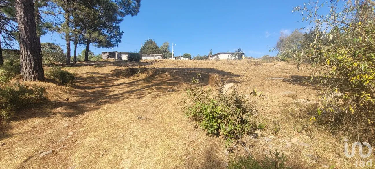 Terreno en Venta en Tres Cañadas, Omitlán de Juárez, Hidalgo | NEX-47432 | iad México | Foto 8 de 24