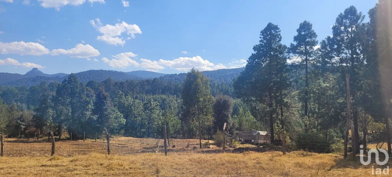 Terreno en Venta en Tres Cañadas, Omitlán de Juárez, Hidalgo | NEX-47432 | iad México | Foto 15 de 24