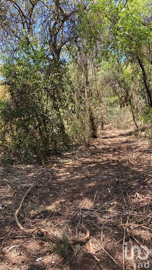 Terreno en Venta en Yemila, Acaxochitlán, Hidalgo | NEX-47580 | iad México | Foto 2 de 6