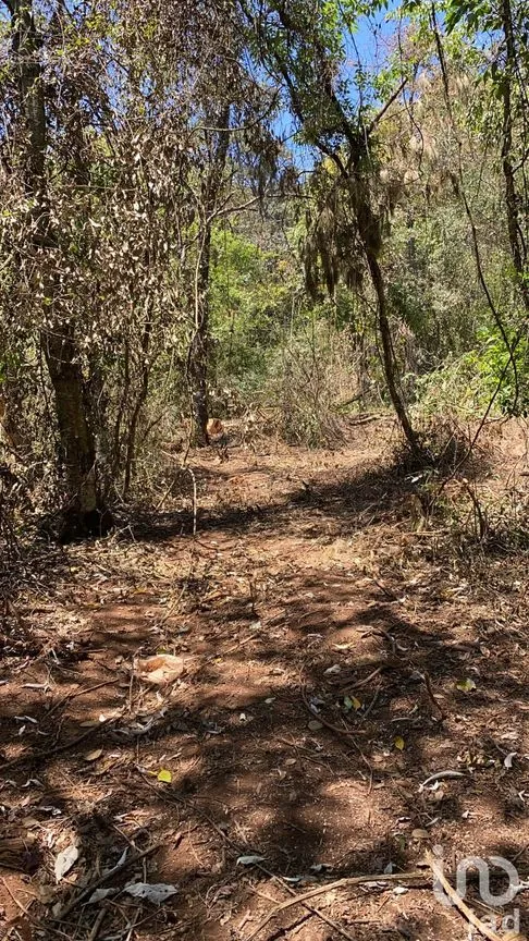 Terreno en Venta en Yemila, Acaxochitlán, Hidalgo | NEX-47580 | iad México | Foto 1 de 6