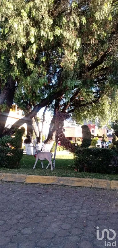 Casa en Venta en Periodistas, Pachuca de Soto, Hidalgo | NEX-60571 | iad México | Foto 14 de 48