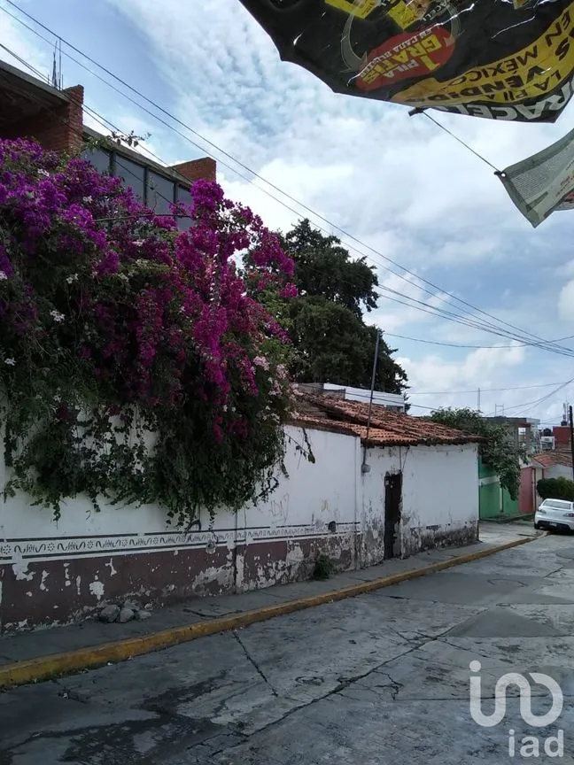 Terreno en Venta en San Pedro, Ixtapan de la Sal, México | NEX-32210 | iad México | Foto 9 de 11