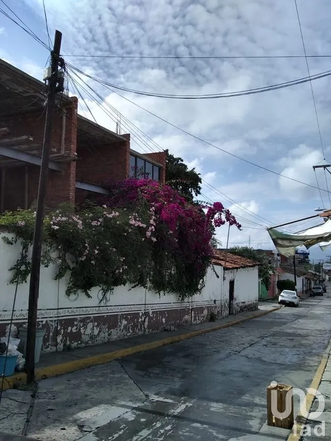 Terreno en Venta en San Pedro, Ixtapan de la Sal, México | NEX-32210 | iad México | Foto 8 de 11