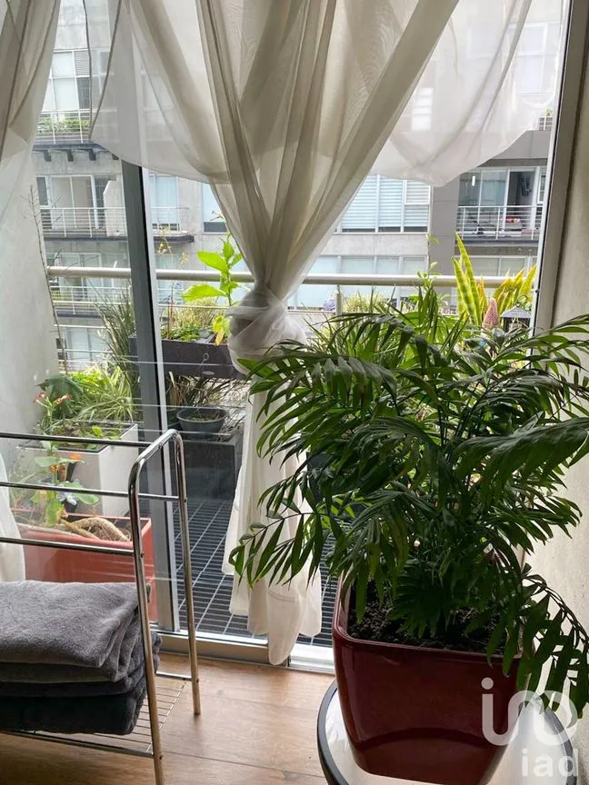Departamento en Venta en Santa Cruz Atoyac, Benito Juárez, Ciudad de México | NEX-241952 | iad México | Foto 6 de 17