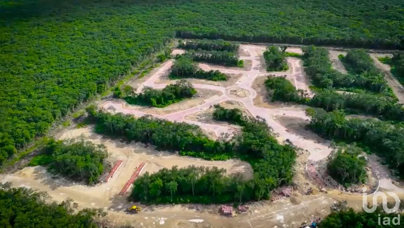 Terreno en Venta en Solferino, Lázaro Cárdenas, Quintana Roo | NEX-291751 | iad México | Foto 7 de 11