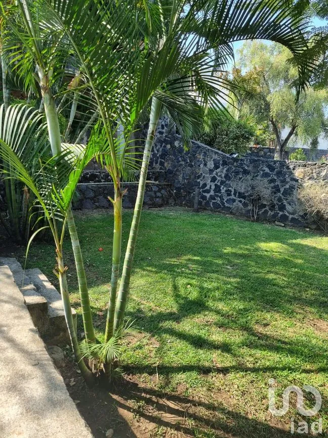 Casa en Venta en Lomas de Trujillo, Emiliano Zapata, Morelos | NEX-164389 | iad México | Foto 18 de 21