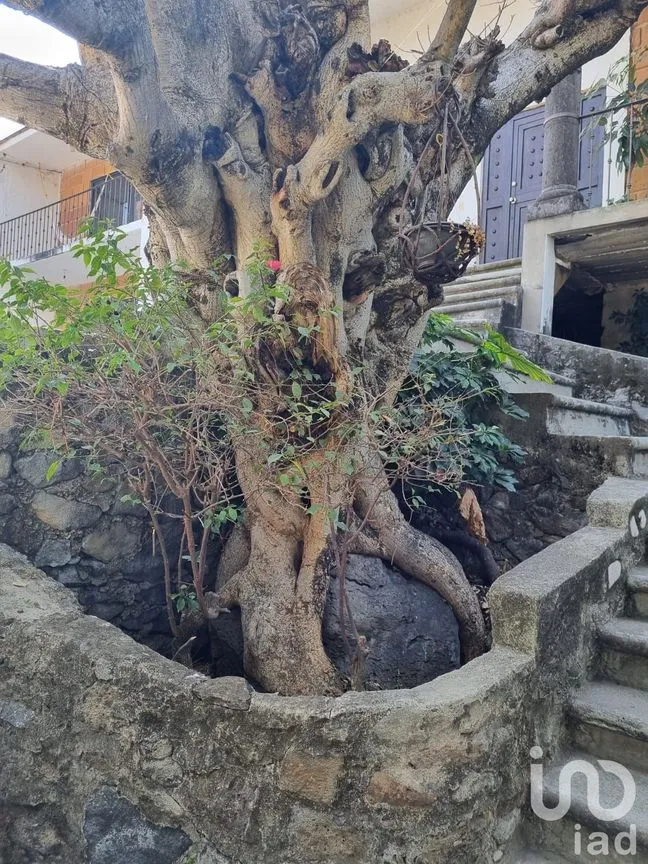 Casa en Venta en Lomas de Trujillo, Emiliano Zapata, Morelos | NEX-164389 | iad México | Foto 3 de 21