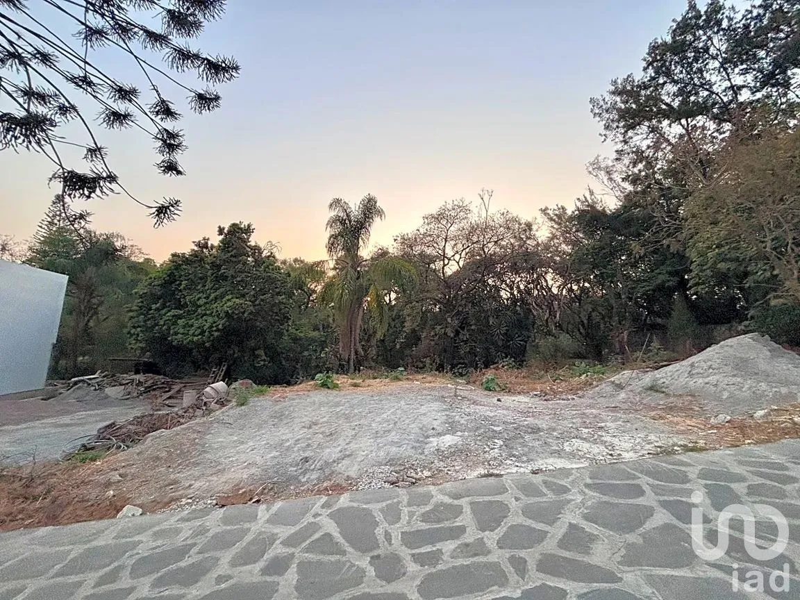Terreno en Venta en Bellavista, Cuernavaca, Morelos | NEX-291176 | iad México | Foto 4 de 8