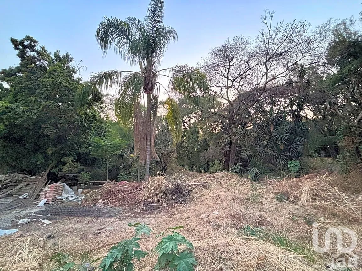 Terreno en Venta en Bellavista, Cuernavaca, Morelos | NEX-291176 | iad México | Foto 7 de 8