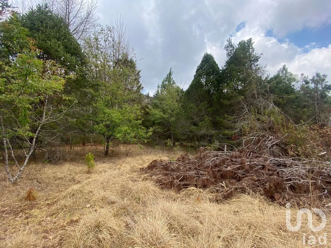 Terreno en Venta en San Martín, San Cristóbal de las Casas, Chiapas