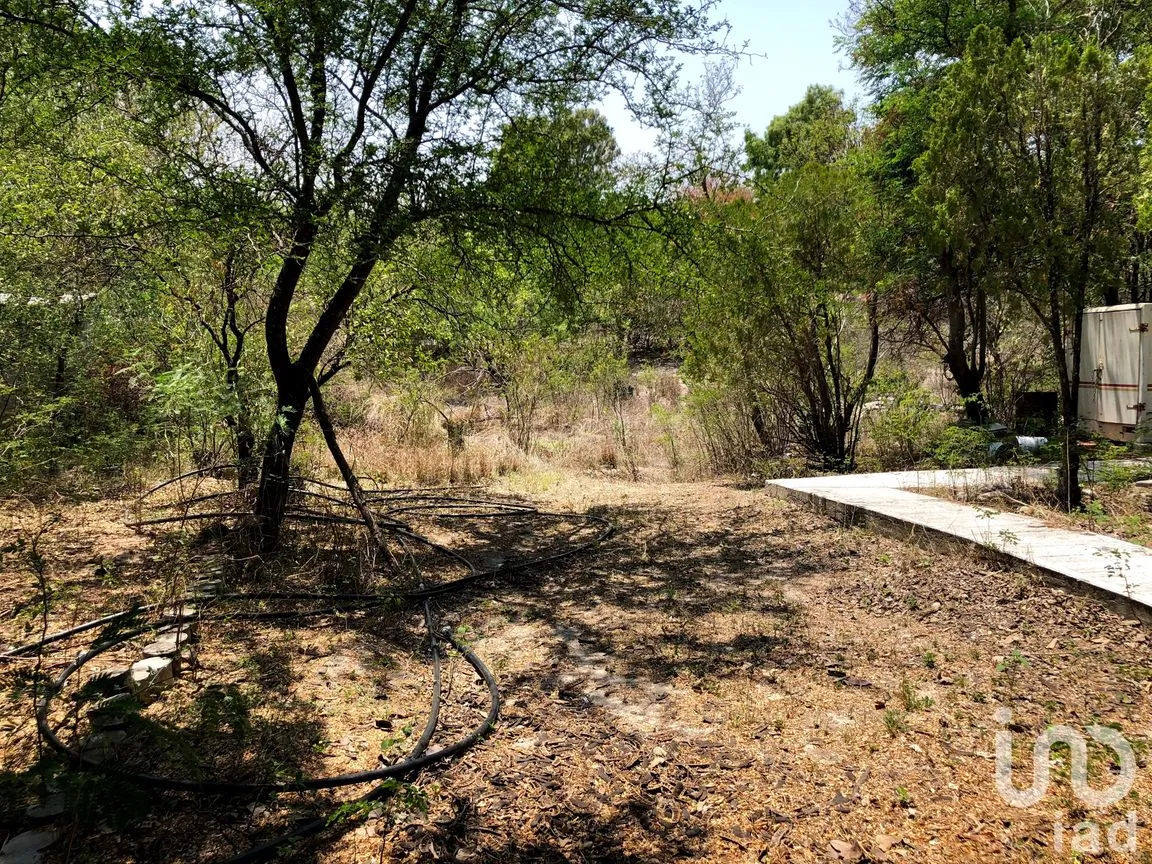 Terreno en Venta en Marín, Marín, Nuevo León | NEX-45274 | iad México | Foto 14 de 16