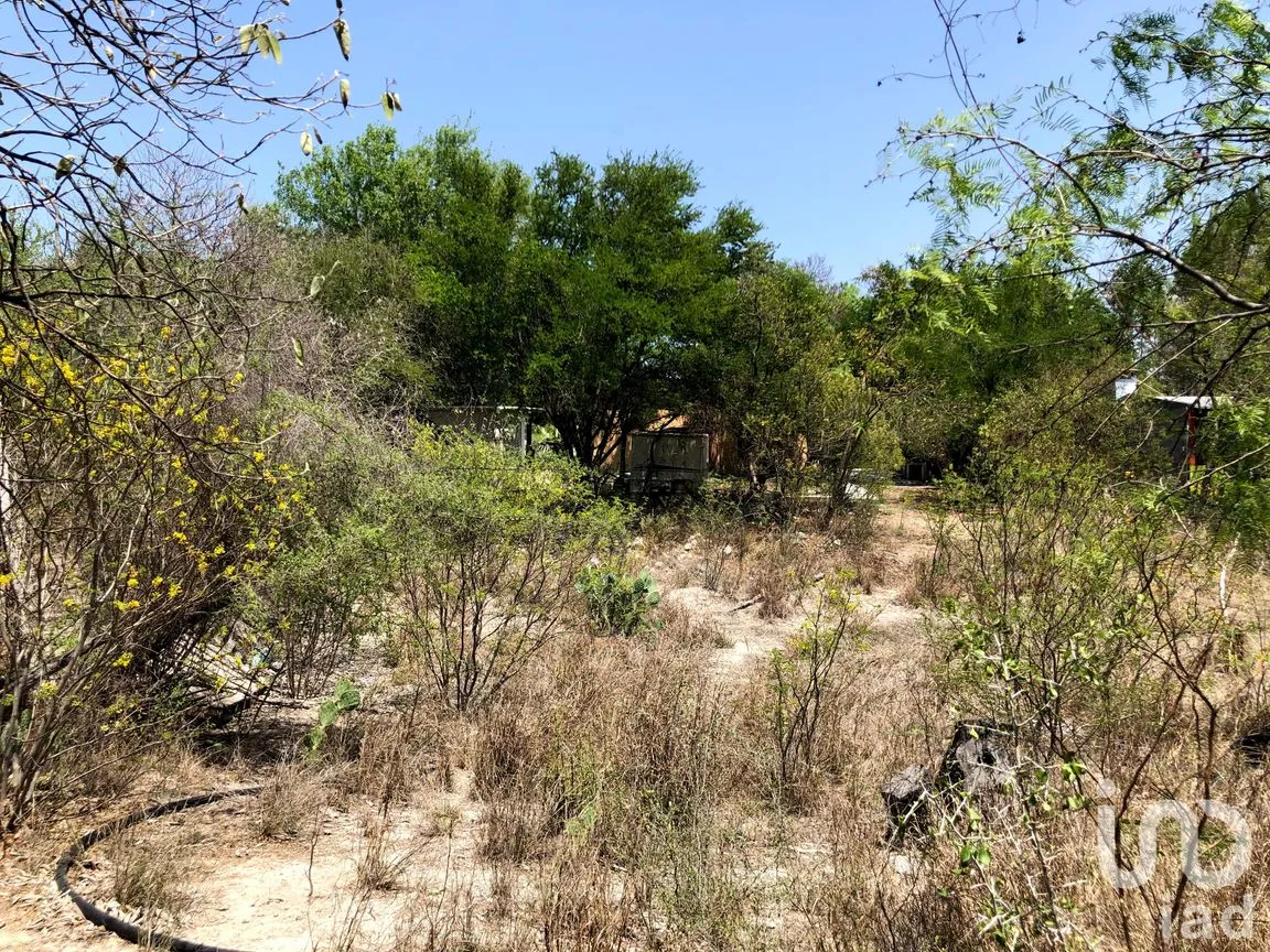 Terreno en Venta en Marín, Marín, Nuevo León | NEX-45274 | iad México | Foto 12 de 16