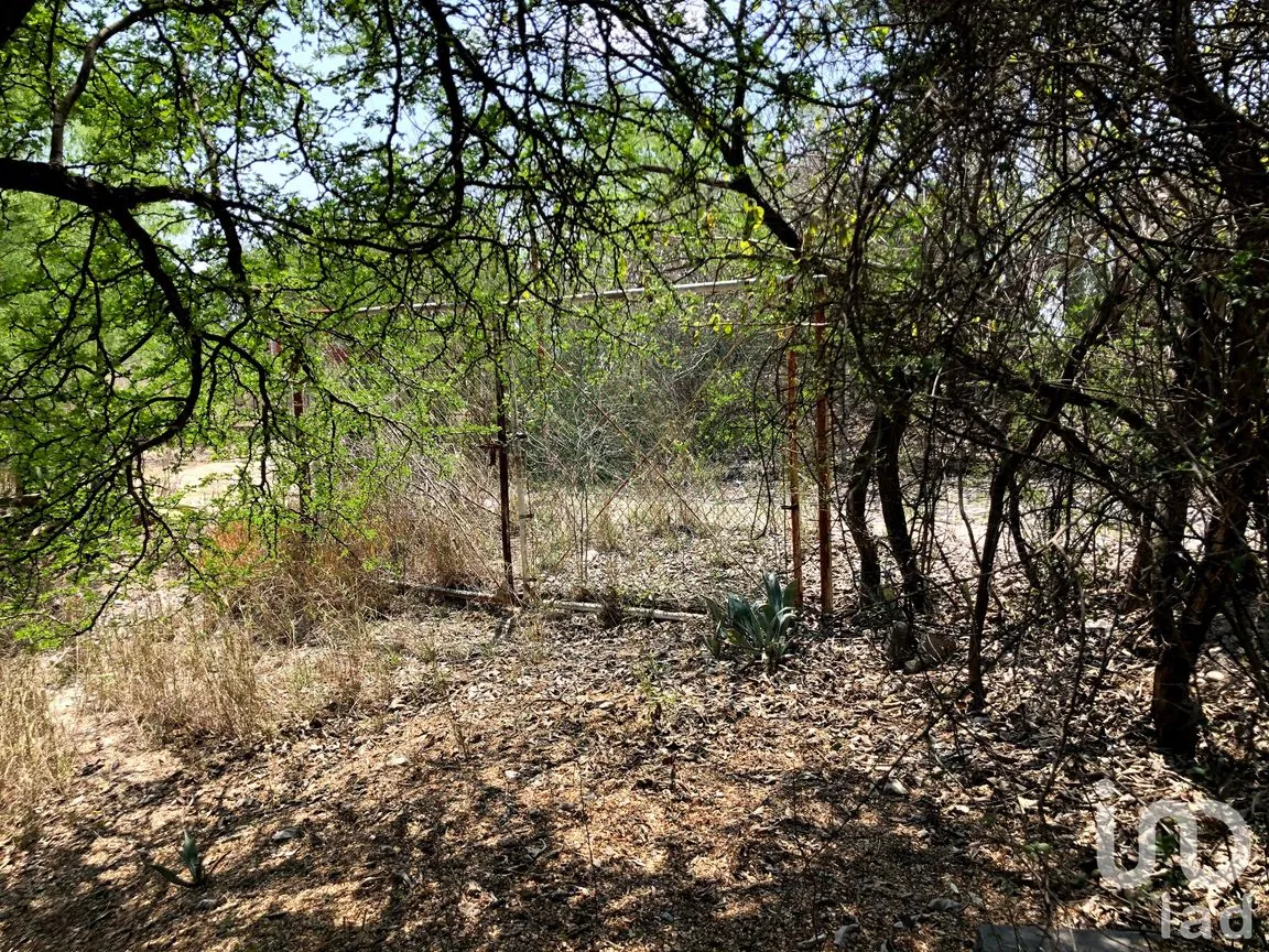 Terreno en Venta en Marín, Marín, Nuevo León | NEX-45274 | iad México | Foto 13 de 16