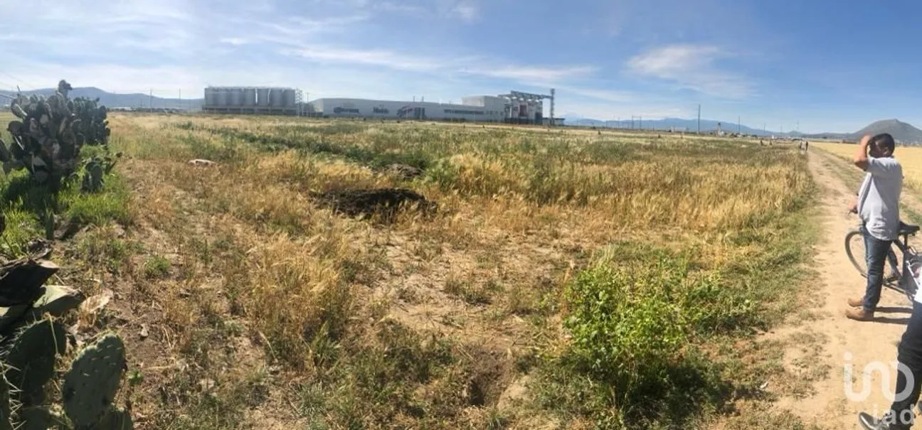 Terreno en Venta en Acopinalco, Apan, Hidalgo | NEX-157552 | iad México | Foto 3 de 10