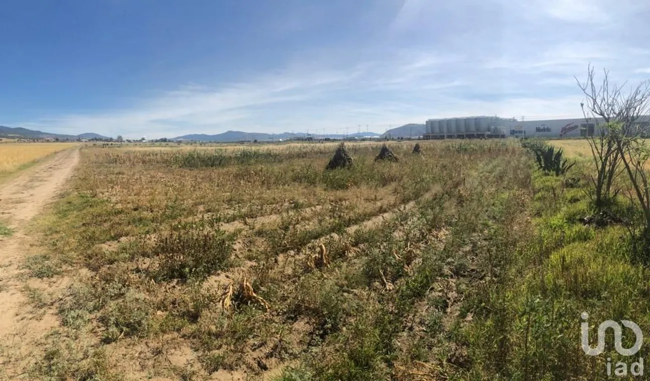 Terreno en Venta en Acopinalco, Apan, Hidalgo | NEX-157552 | iad México | Foto 4 de 10