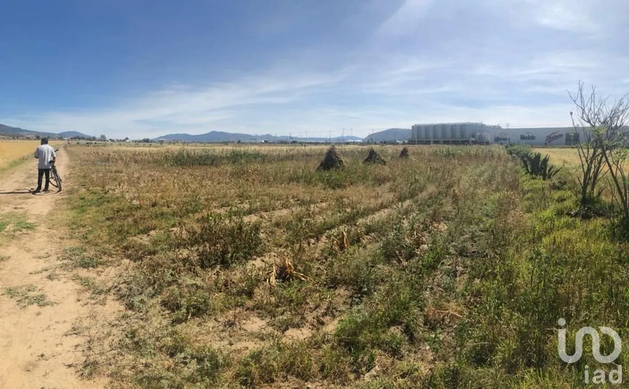 Terreno en Venta en Acopinalco, Apan, Hidalgo | NEX-157552 | iad México | Foto 5 de 10