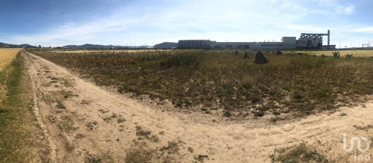 Terreno en Venta en Acopinalco, Apan, Hidalgo | NEX-157552 | iad México | Foto 6 de 10