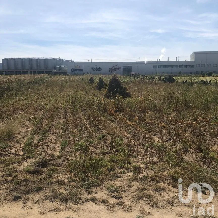 Terreno en Venta en Acopinalco, Apan, Hidalgo | NEX-157552 | iad México | Foto 7 de 10
