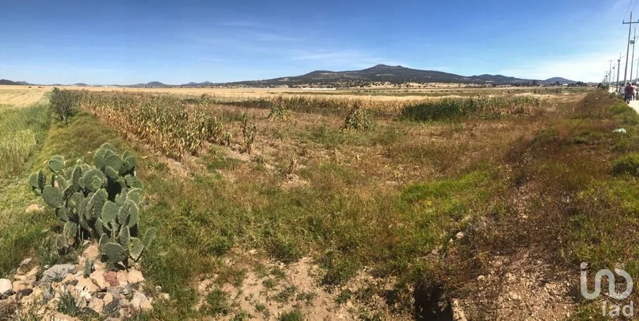 Terreno en Venta en Acopinalco, Apan, Hidalgo | NEX-157552 | iad México | Foto 8 de 10