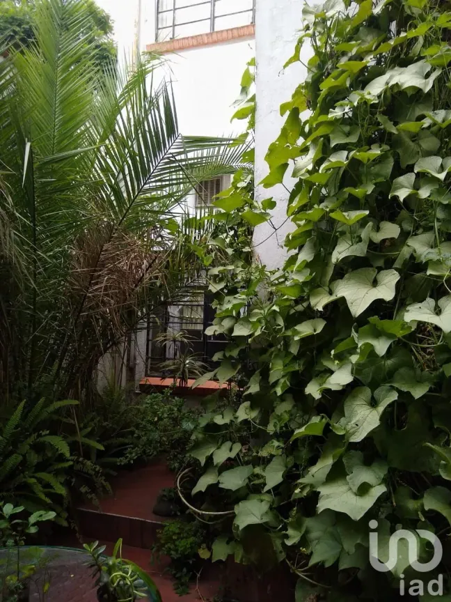 Casa en Venta en Florida, Álvaro Obregón, Ciudad de México | NEX-50658 | iad México | Foto 15 de 15