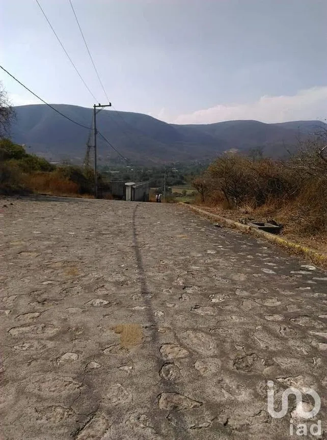 Terreno en Venta en Ticumán, Tlaltizapán de Zapata, Morelos | NEX-175228 | iad México | Foto 2 de 18