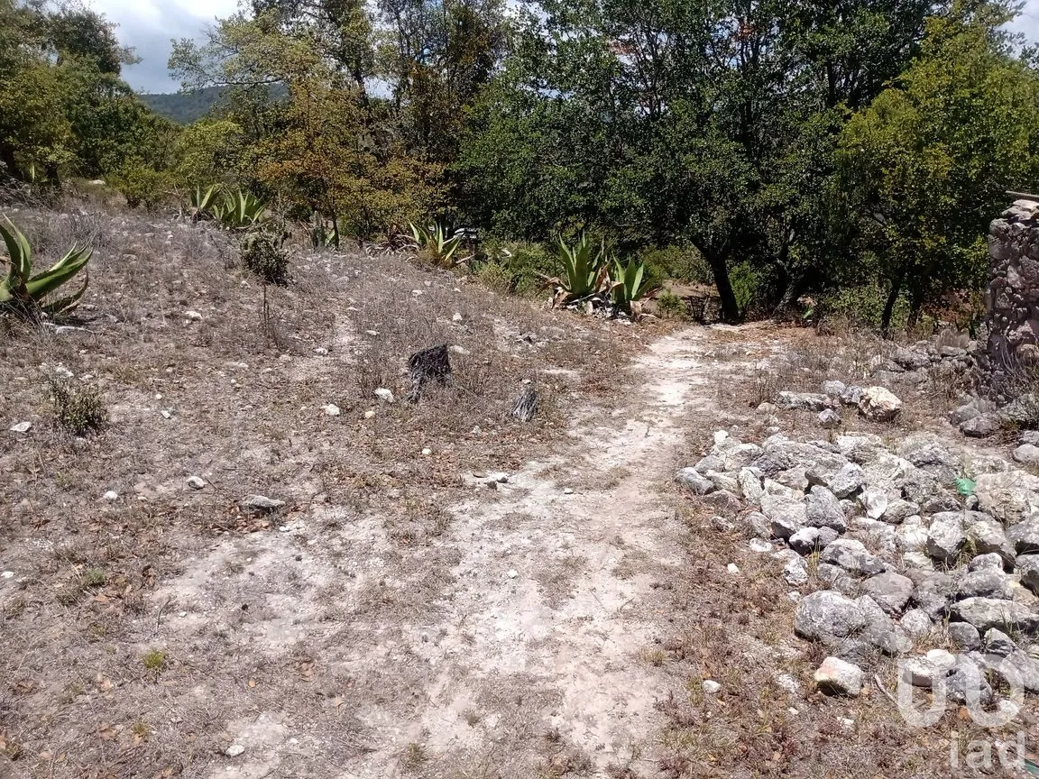 Terreno en Venta en Zoquizoquipan, Metztitlán, Hidalgo | NEX-176055 | iad México | Foto 20 de 22