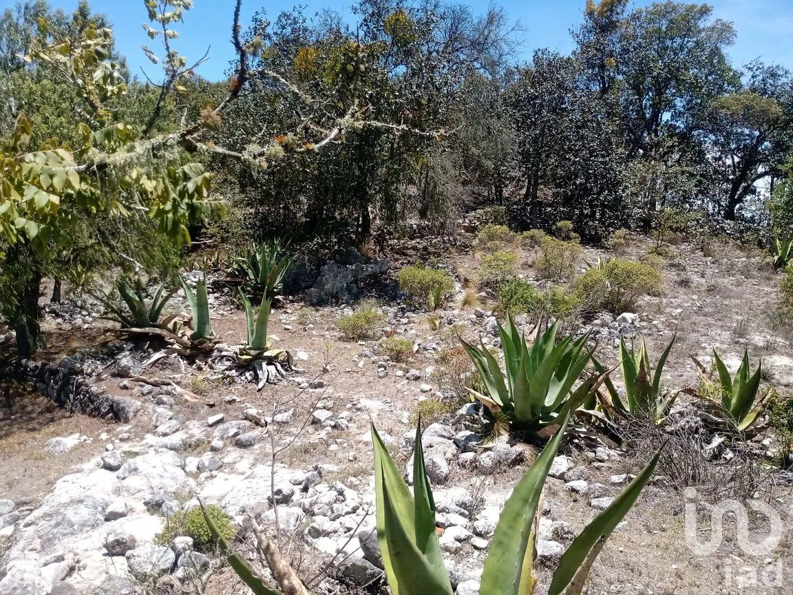 Terreno en Venta en Zoquizoquipan, Metztitlán, Hidalgo