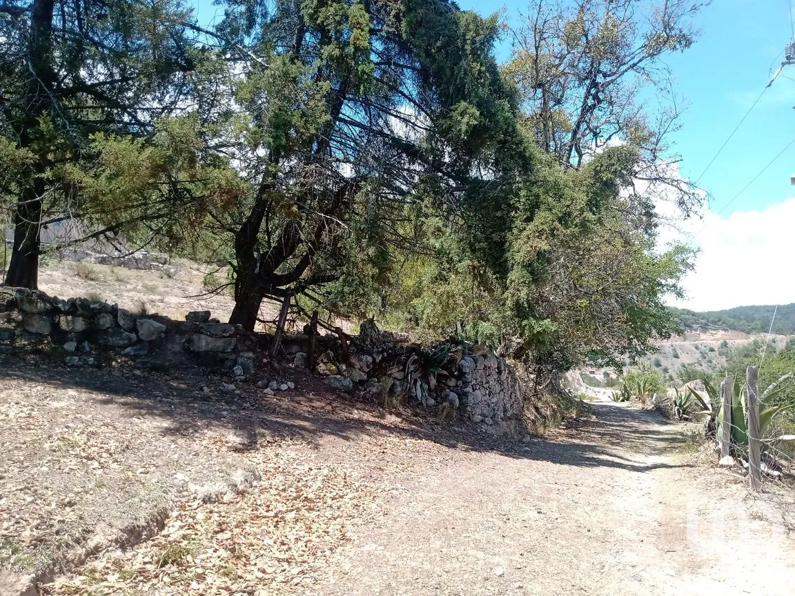 Terreno en Venta en Zoquizoquipan, Metztitlán, Hidalgo | NEX-176055 | iad México | Foto 2 de 22