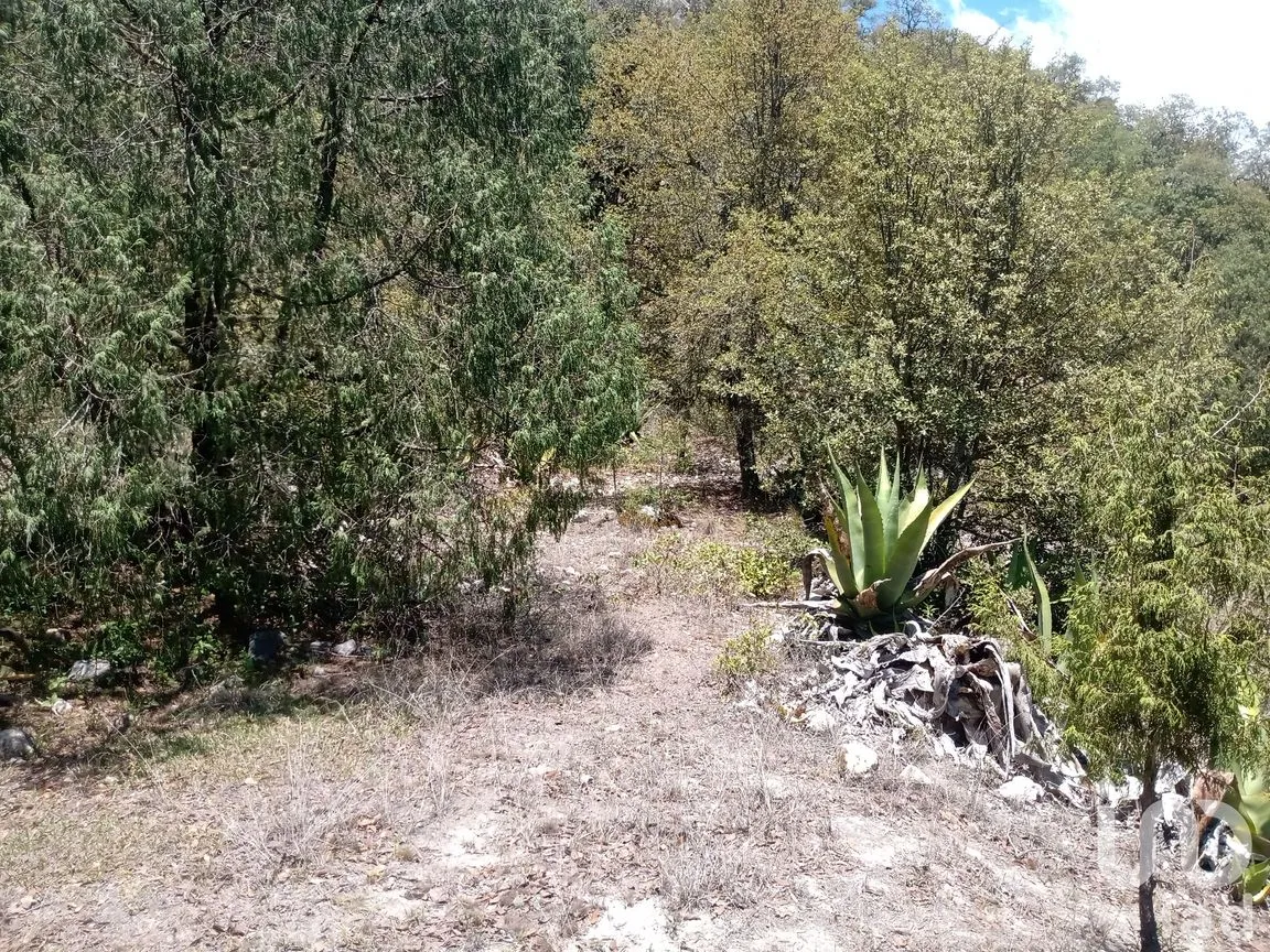 Terreno en Venta en Zoquizoquipan, Metztitlán, Hidalgo | NEX-176055 | iad México | Foto 17 de 22