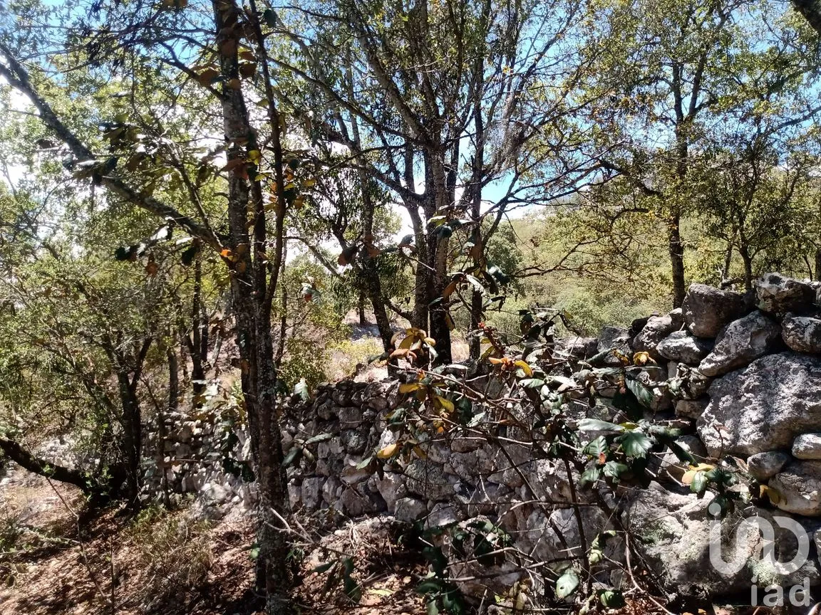Terreno en Venta en Zoquizoquipan, Metztitlán, Hidalgo | NEX-176055 | iad México | Foto 18 de 22