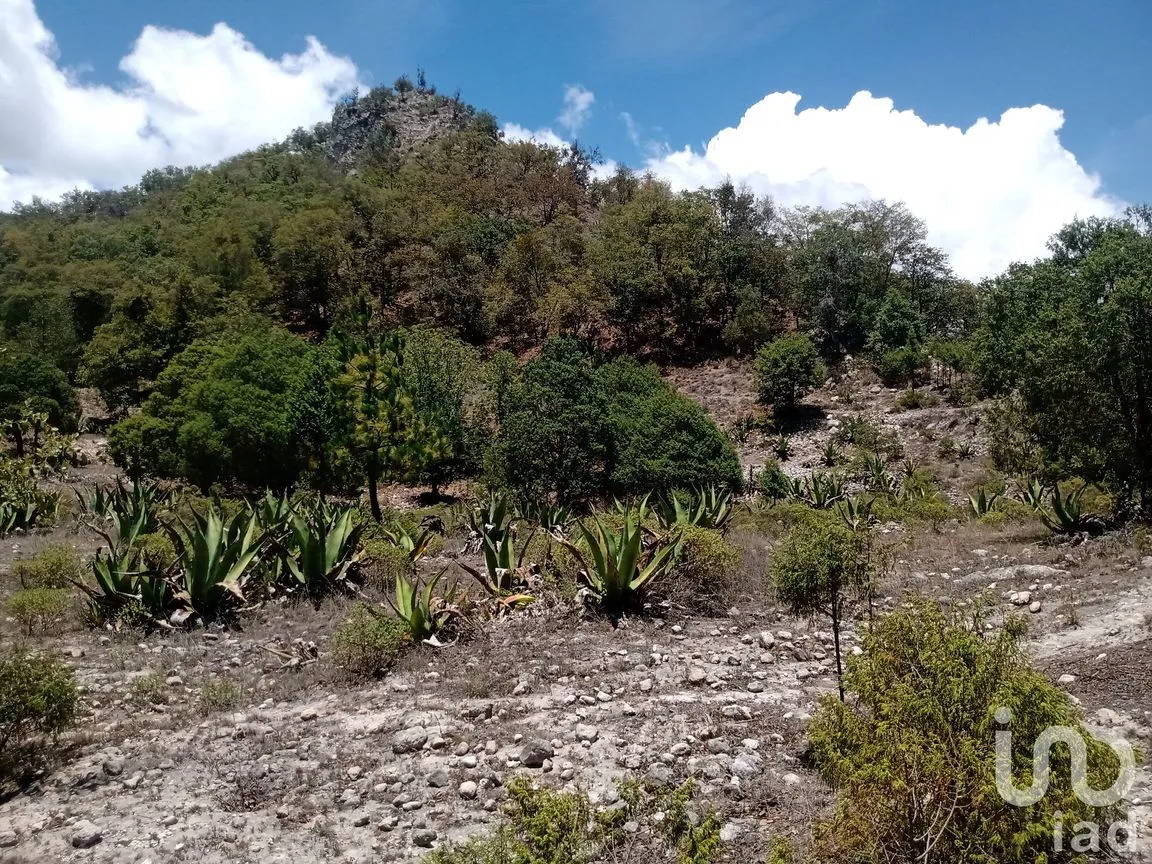 Terreno en Venta en Zoquizoquipan, Metztitlán, Hidalgo | NEX-176055 | iad México | Foto 19 de 22