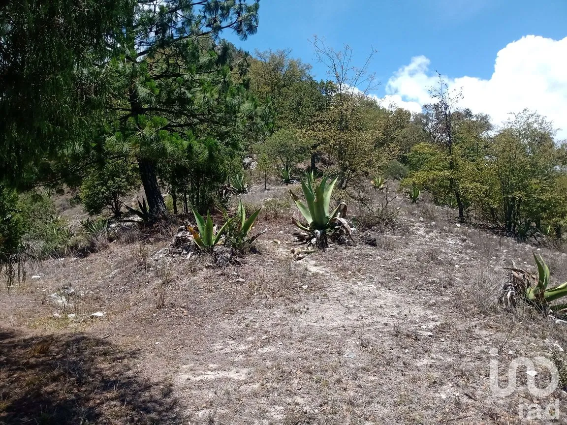 Terreno en Venta en Zoquizoquipan, Metztitlán, Hidalgo | NEX-176055 | iad México | Foto 21 de 22