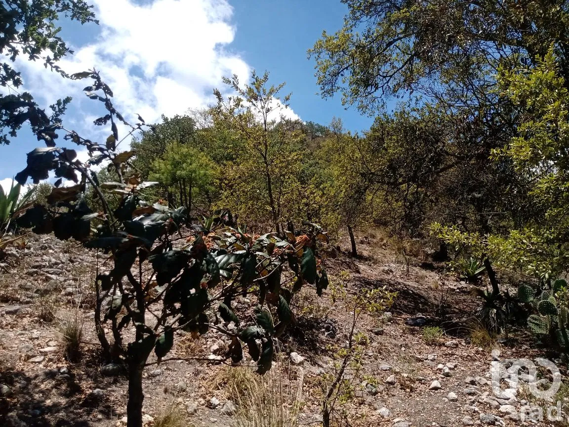 Terreno en Venta en Zoquizoquipan, Metztitlán, Hidalgo | NEX-176055 | iad México | Foto 22 de 22