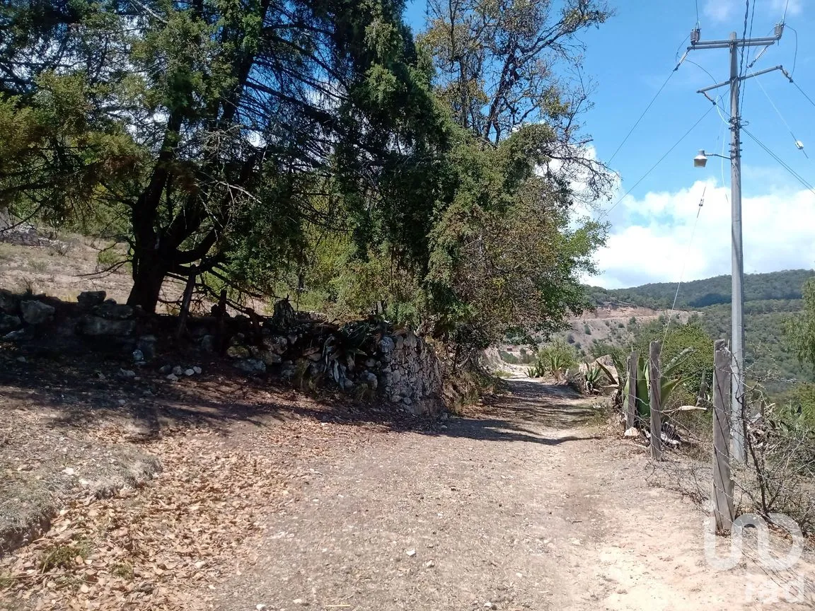 Terreno en Venta en Zoquizoquipan, Metztitlán, Hidalgo | NEX-176055 | iad México | Foto 4 de 22