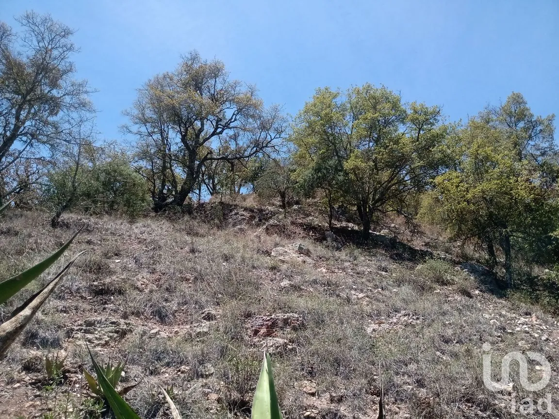 Terreno en Venta en Zoquizoquipan, Metztitlán, Hidalgo | NEX-176055 | iad México | Foto 5 de 22